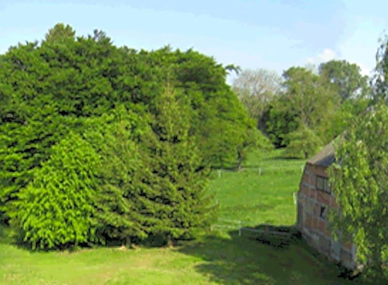 Landhotel Gut Zarrentin image