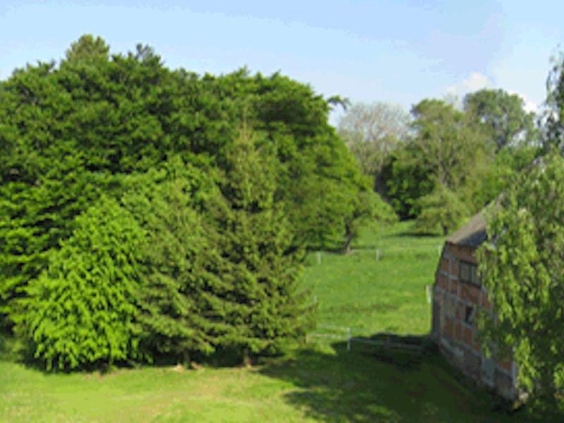 Landhotel Gut Zarrentin image