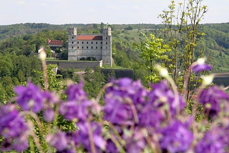 Wellnesshotel Schv Nblick Superior image