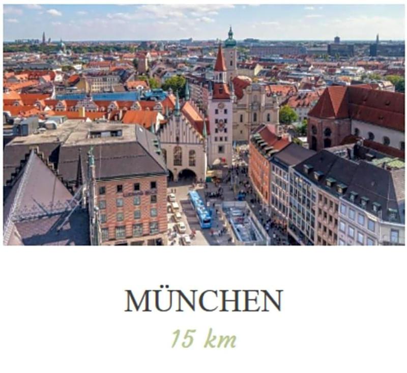Hotel Fischerwirt image
