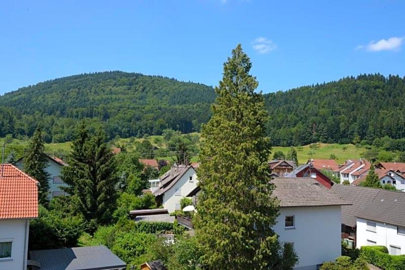 Schwarzwaldhotel Sonne image