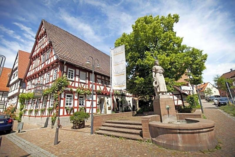 Hotel Hirsch image