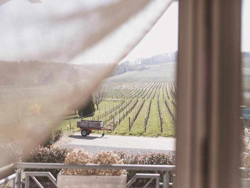 Weingut Gehlen Cornelius image