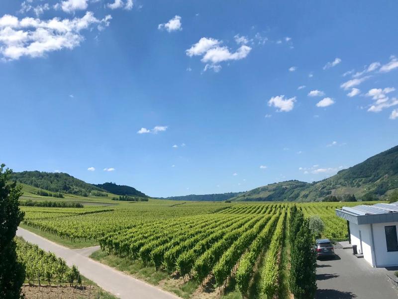 Weingut Gehlen Cornelius image