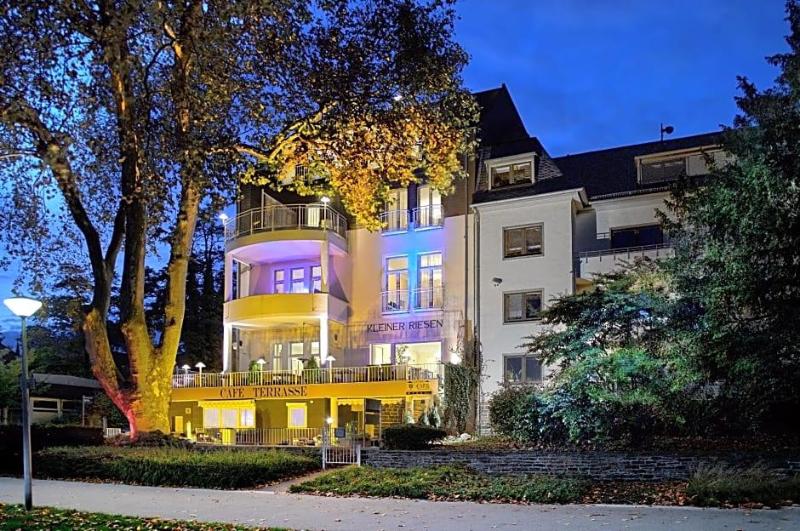 Hotel Kleiner Riesen image