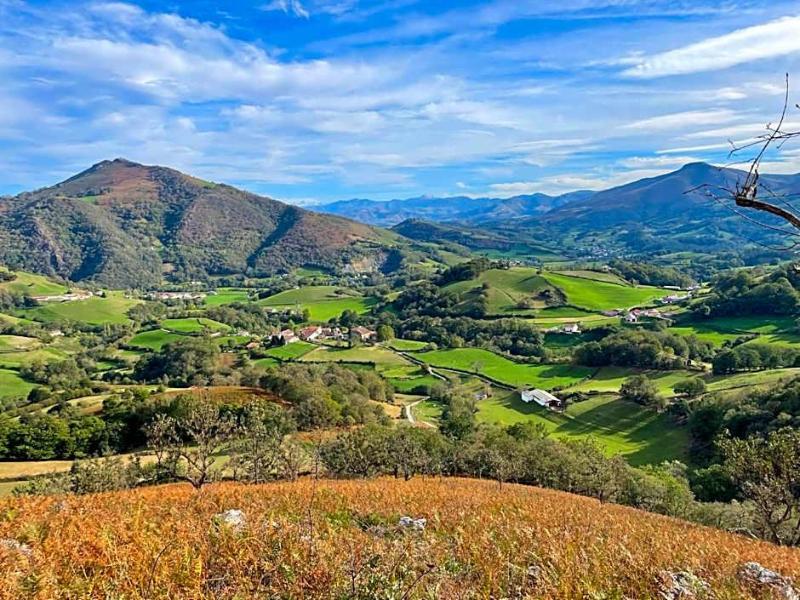 Manexenea image
