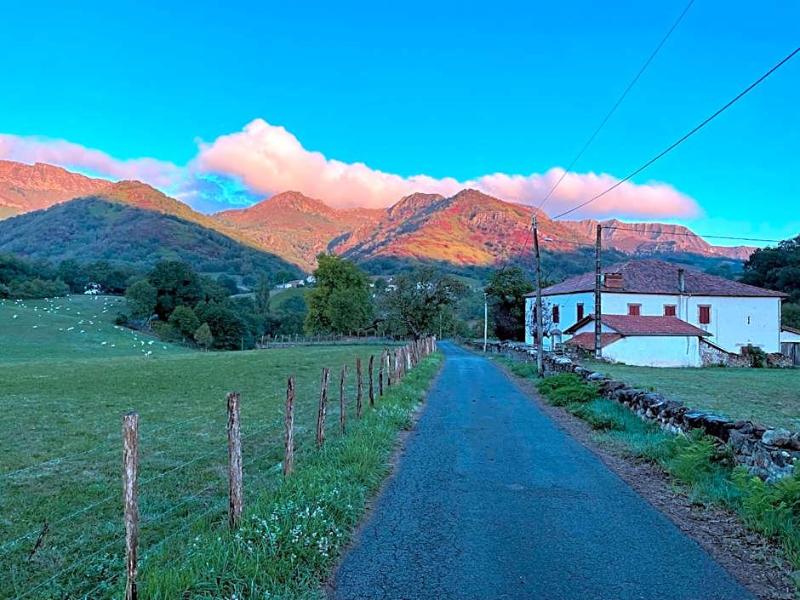 Manexenea image