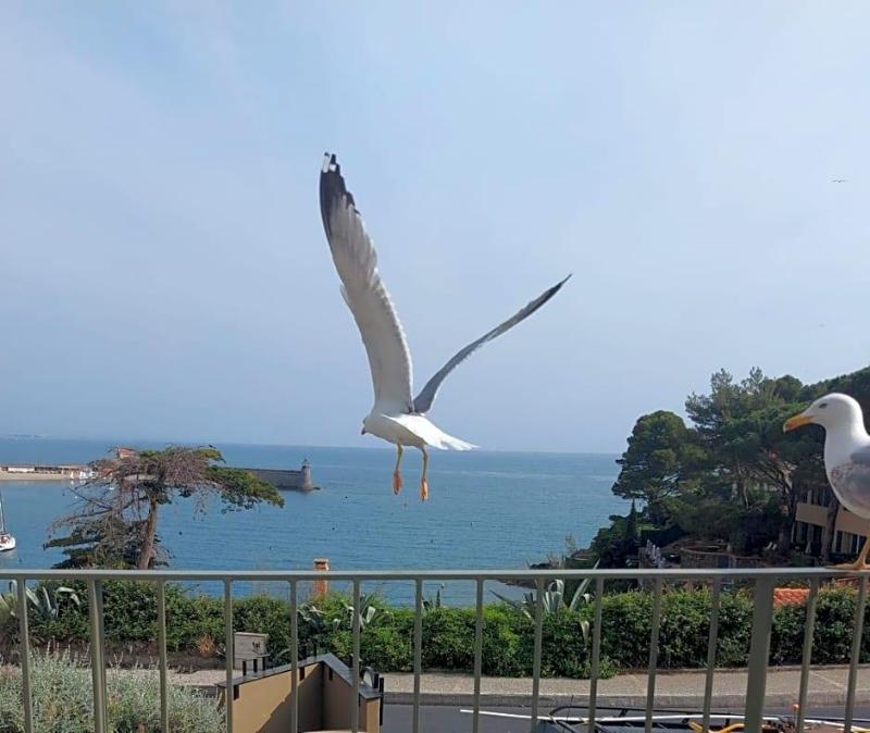 Hotel Le Bon Port image