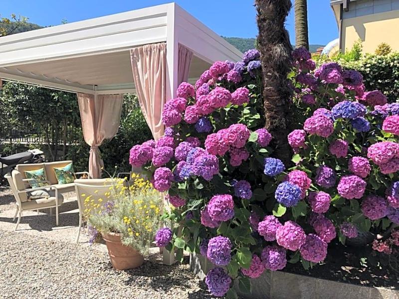 Hotel Antica Stallera image