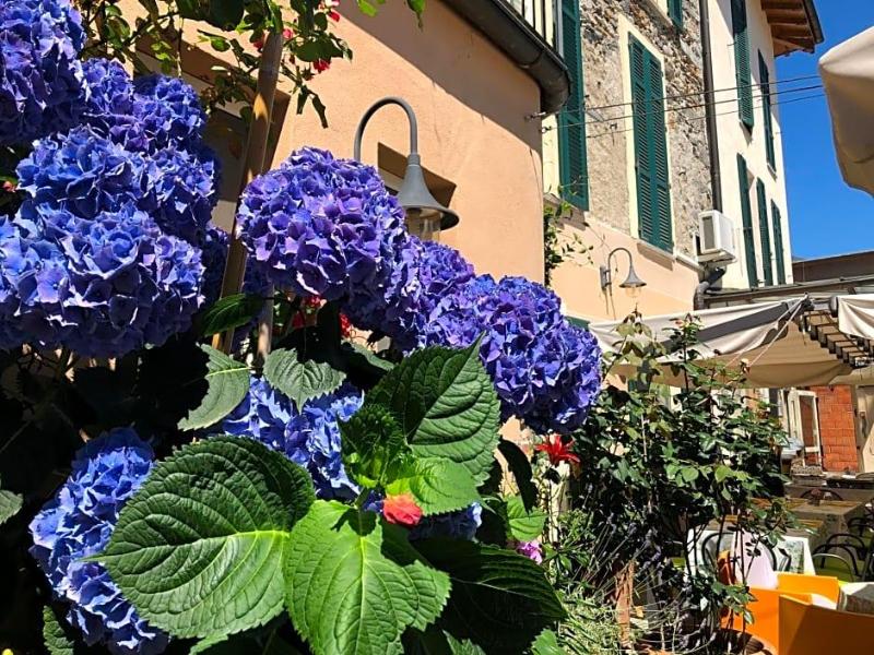 Hotel Antica Stallera image