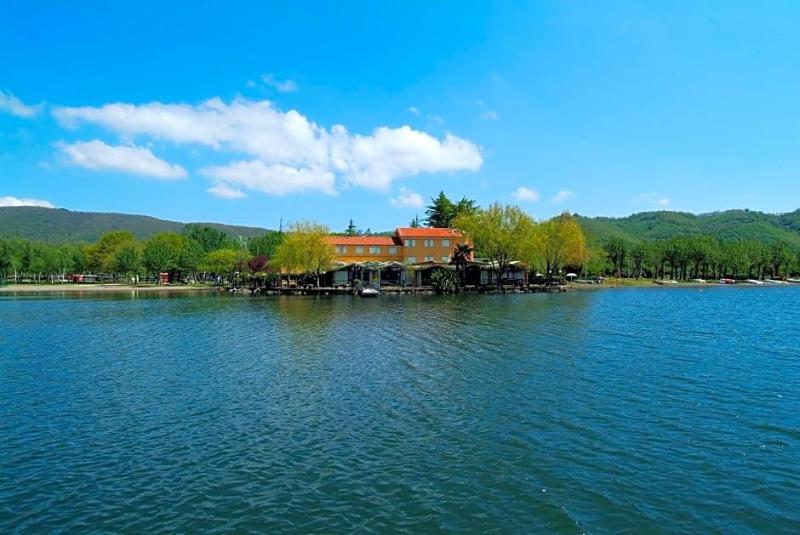Hotel La Bella Venere image