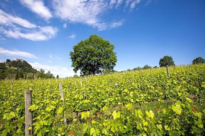 Tenuta Saiano Resort image