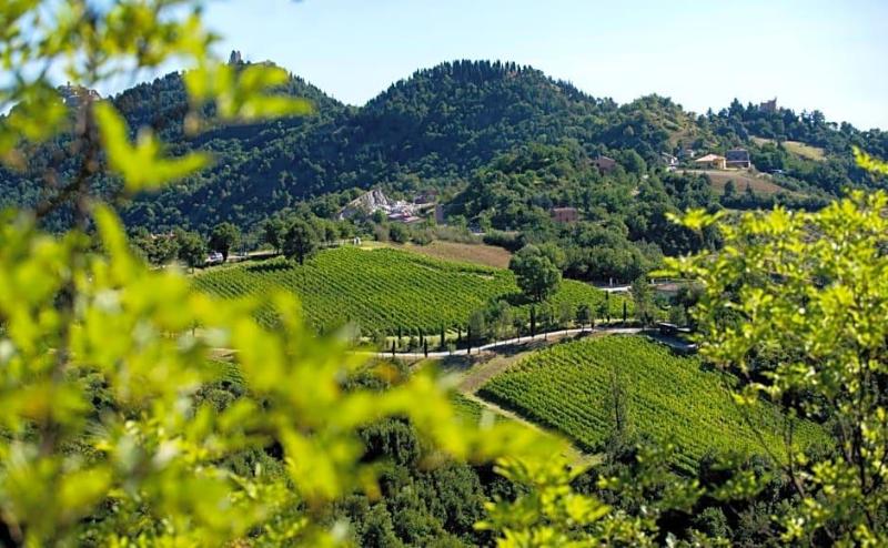 Tenuta Saiano Resort image