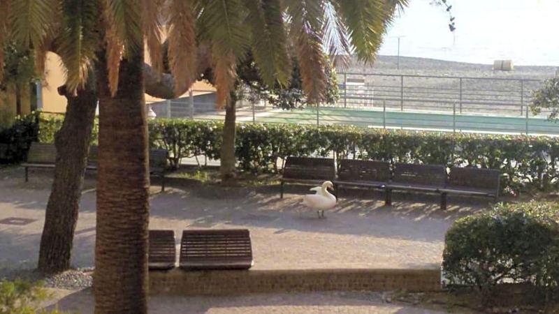 Hotel Serena image