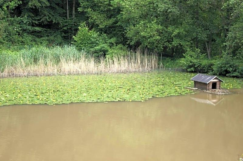 Hotel Restaurant Muckensee image