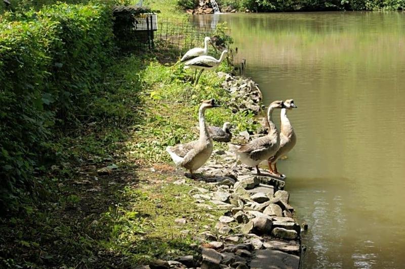 Hotel Restaurant Muckensee image