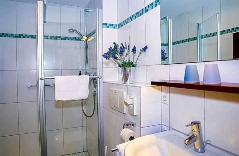 Zv Fle Hotel Restaurant Spa image