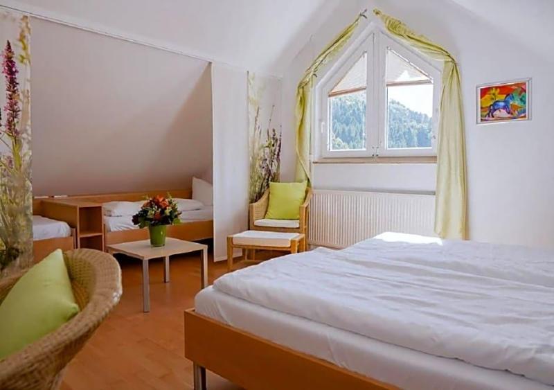 Zv Fle Hotel Restaurant Spa image