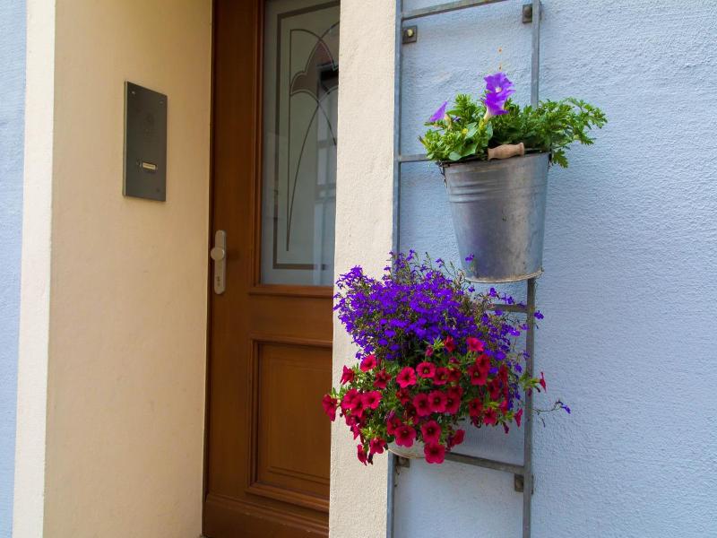 Hotel Blaue Blume image