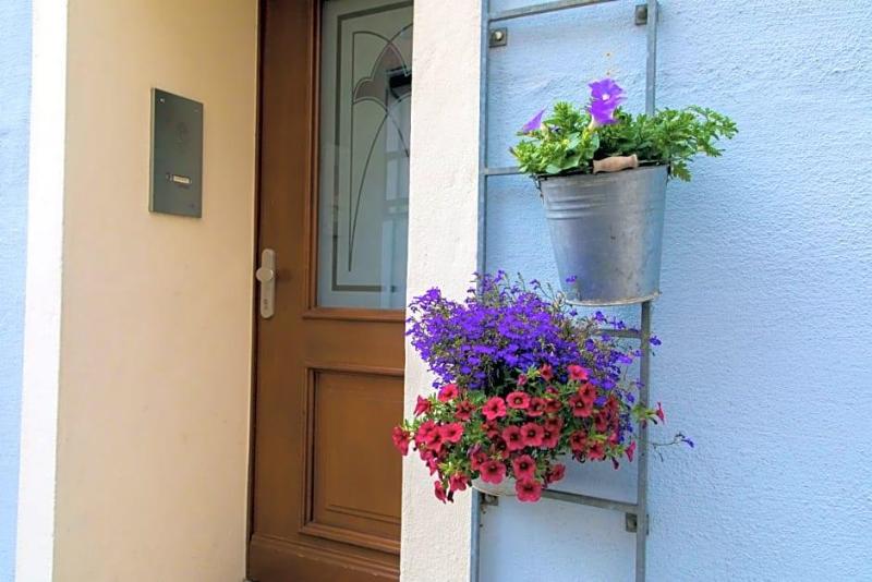 Hotel Blaue Blume image