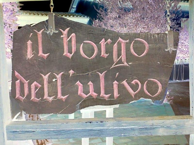 Il Borgo Dell Ulivo image