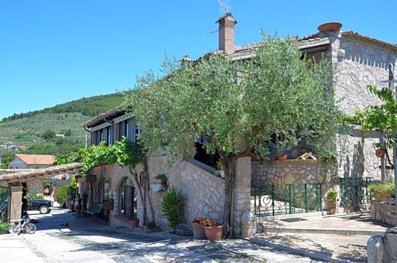 Il Borgo Dell Ulivo image