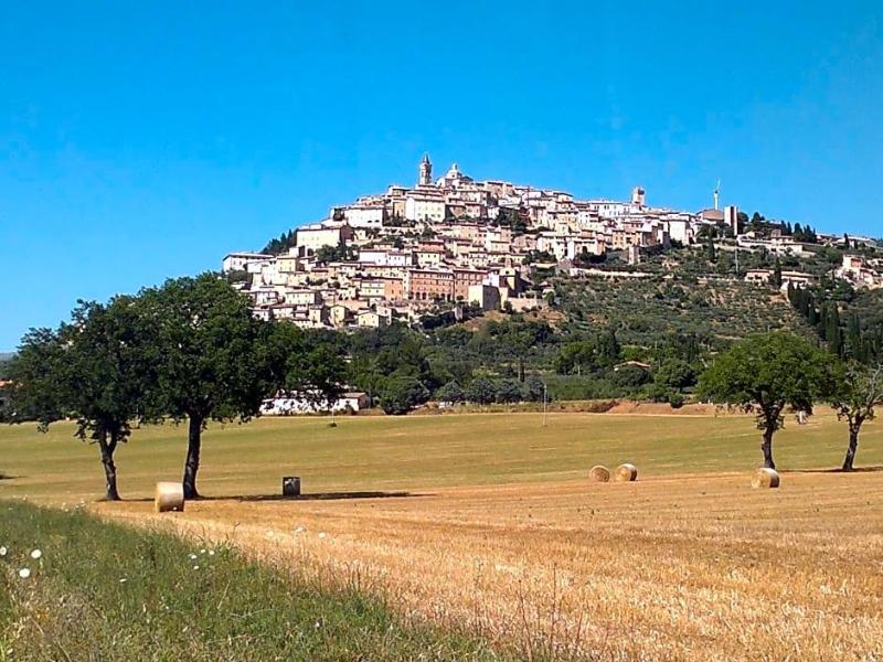Il Borgo Dell Ulivo image
