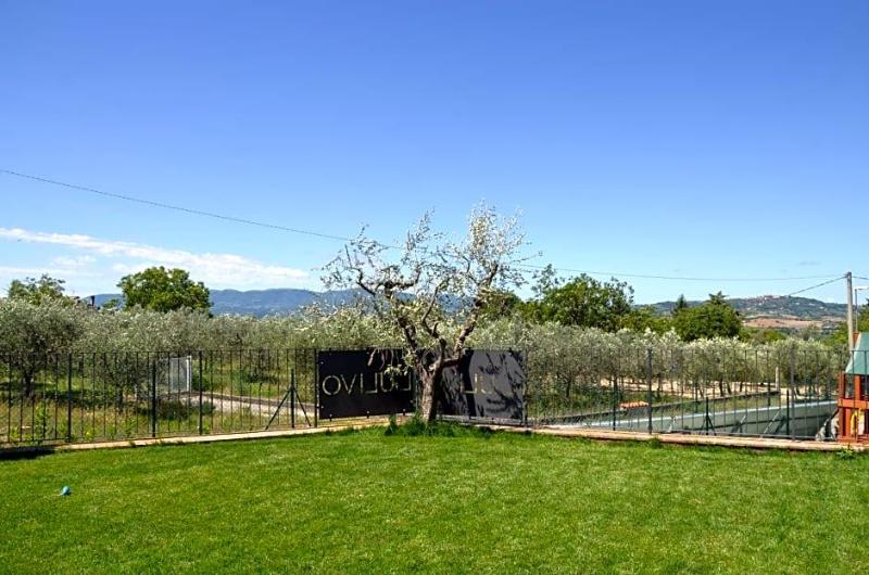Il Borgo Dell Ulivo image