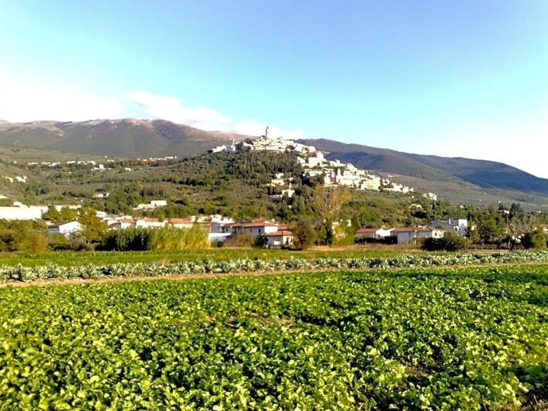 Il Borgo Dell Ulivo image