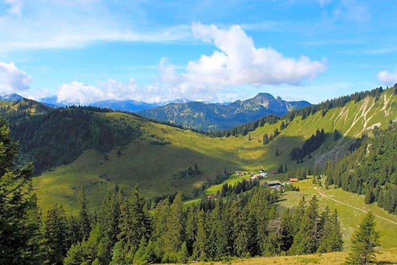 Berggasthof Obere Firstalm image