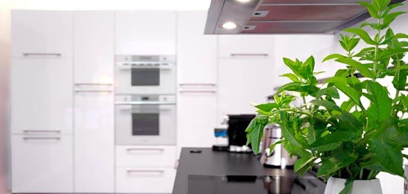 Boutique Suites Heidelberg Alte Zigarrenmanufaktur image