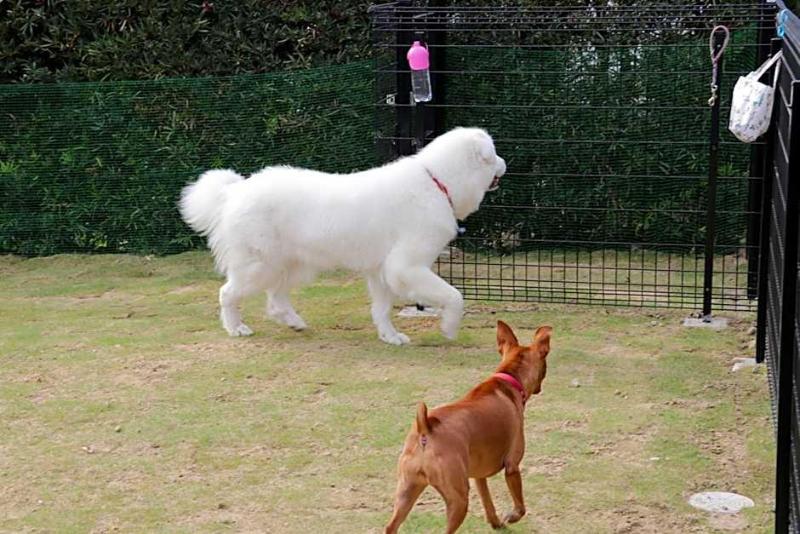 Yado Hanasaku — general view