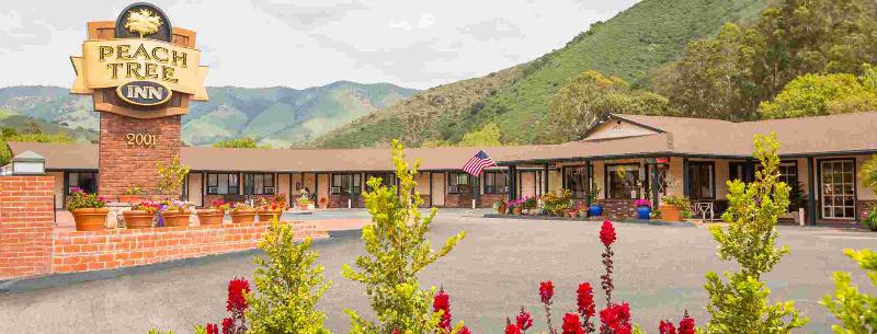 Peach Tree Inn