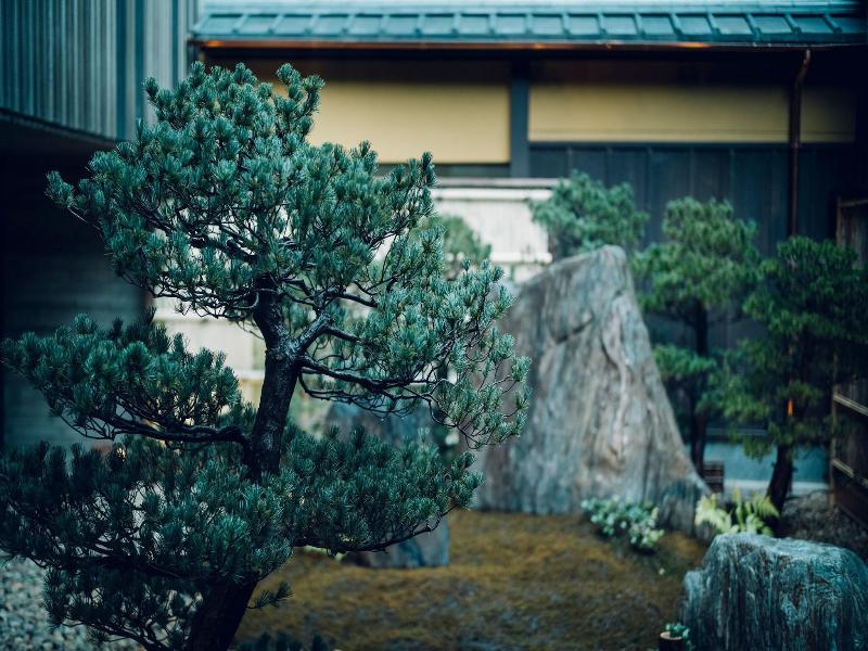 The Hiramatsu Kyoto image