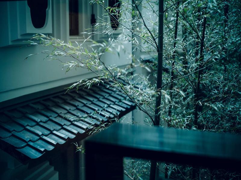The Hiramatsu Kyoto image