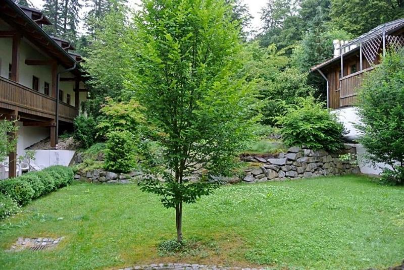 Zwieseler Waldhaus image