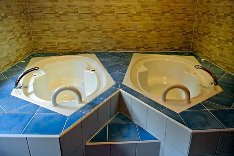 Zwieseler Waldhaus image