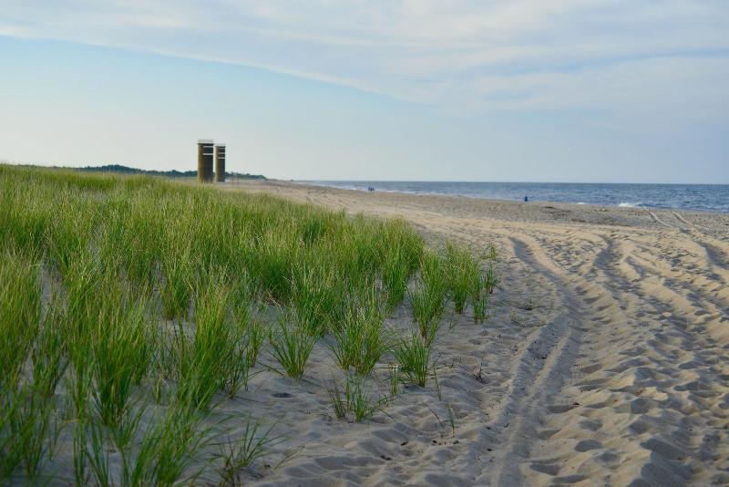 Atlantic Oceanside Dewey image