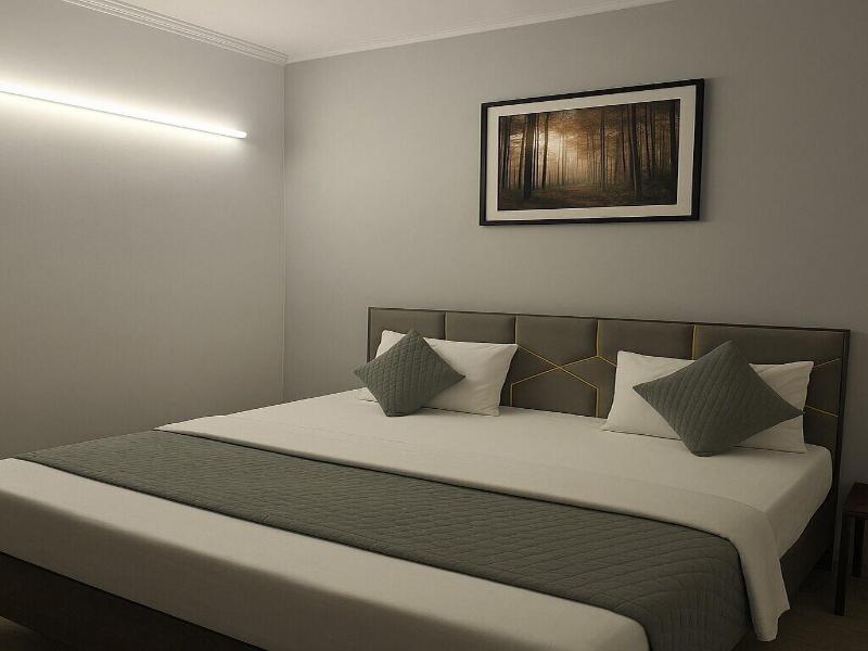 Hotel Diamond Residency image