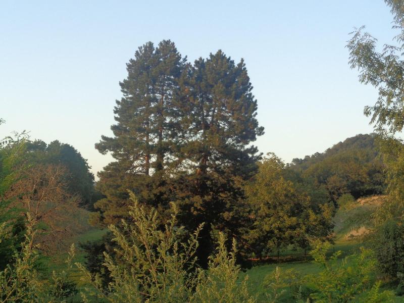 L'annexe Du Chã¢teau De Saint Genix