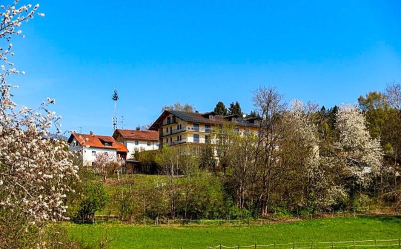 Das Palmberger image