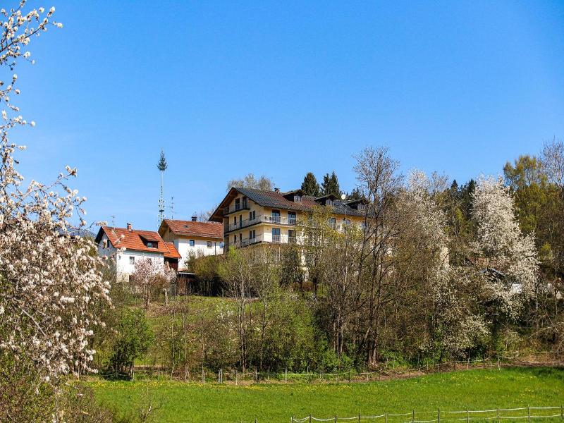 Das Palmberger image