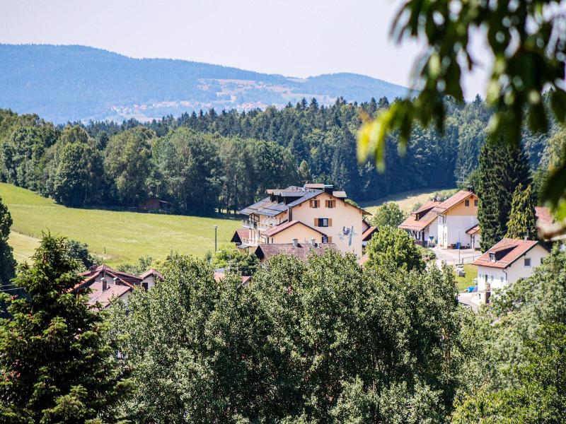 Das Palmberger image