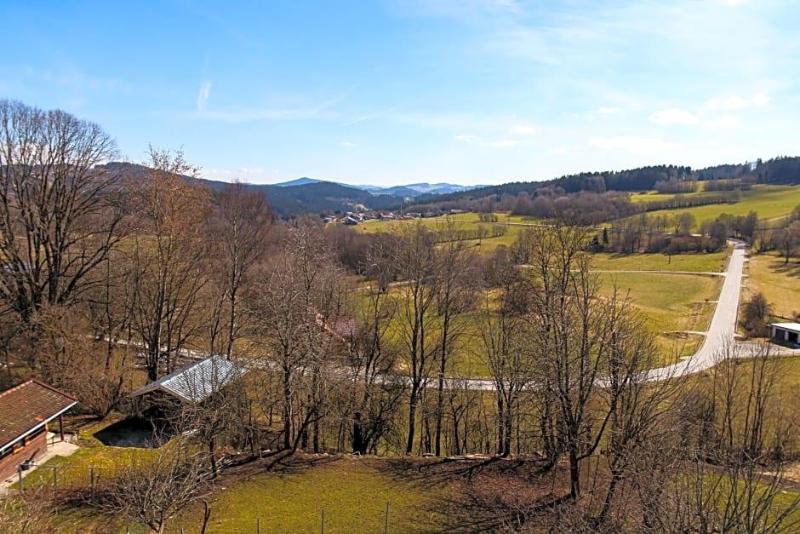 Das Palmberger image