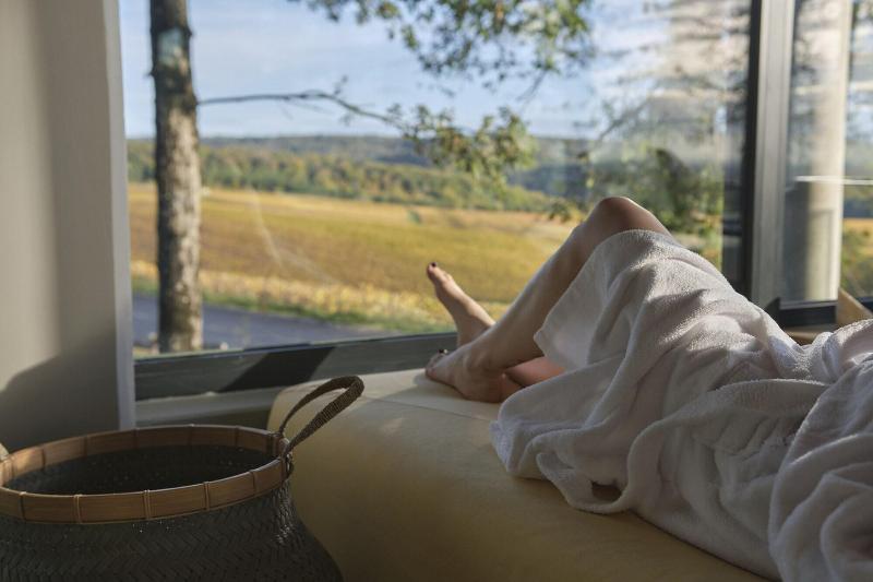 Loisium Wine & Spa Hotel Champagne image