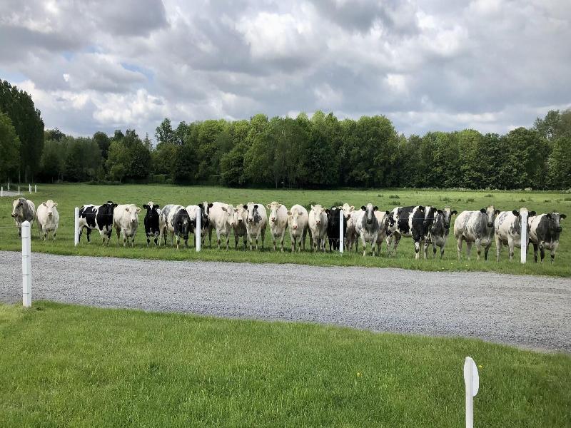 La Ferme Delgueule image