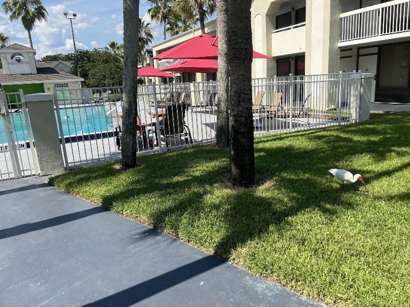 Orlando Vacation Rooms image
