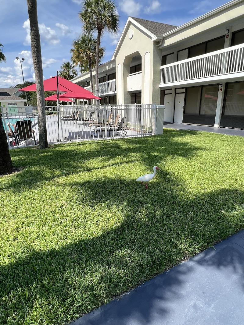 Orlando Vacation Rooms image
