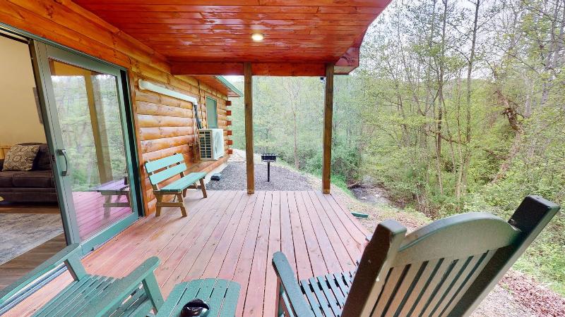 Rough Cut Lodge image
