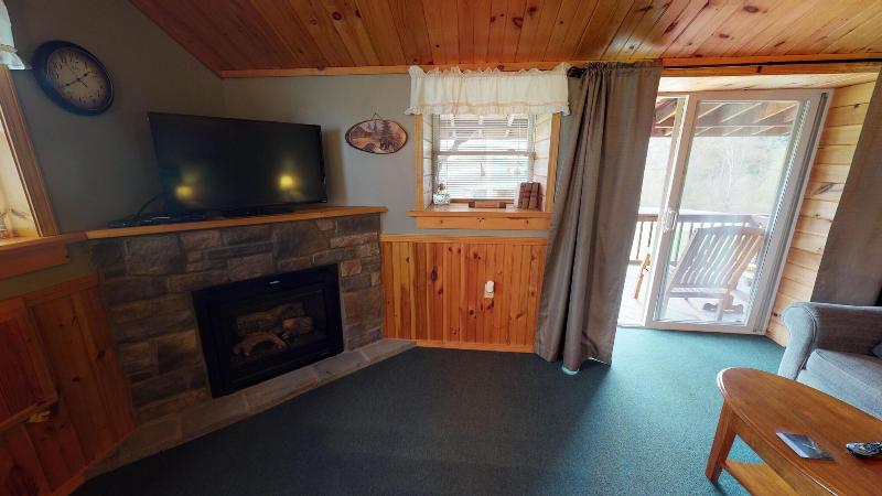 Rough Cut Lodge image